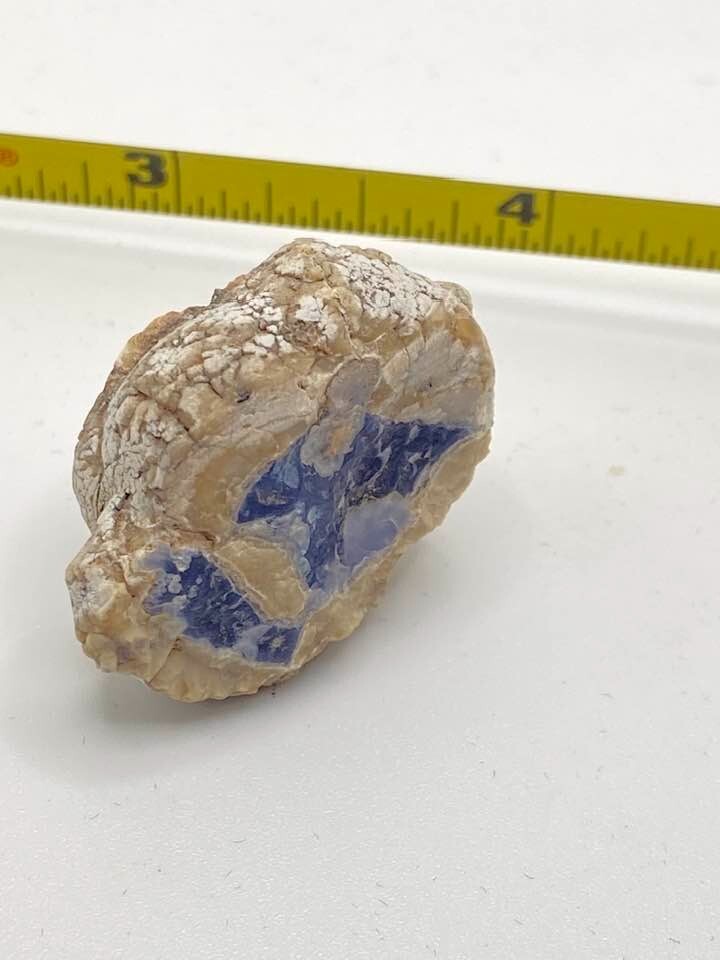 Ellensburg Blue Agate 62.5 carats Very Rare Gem Mineral Specimen Rough Display