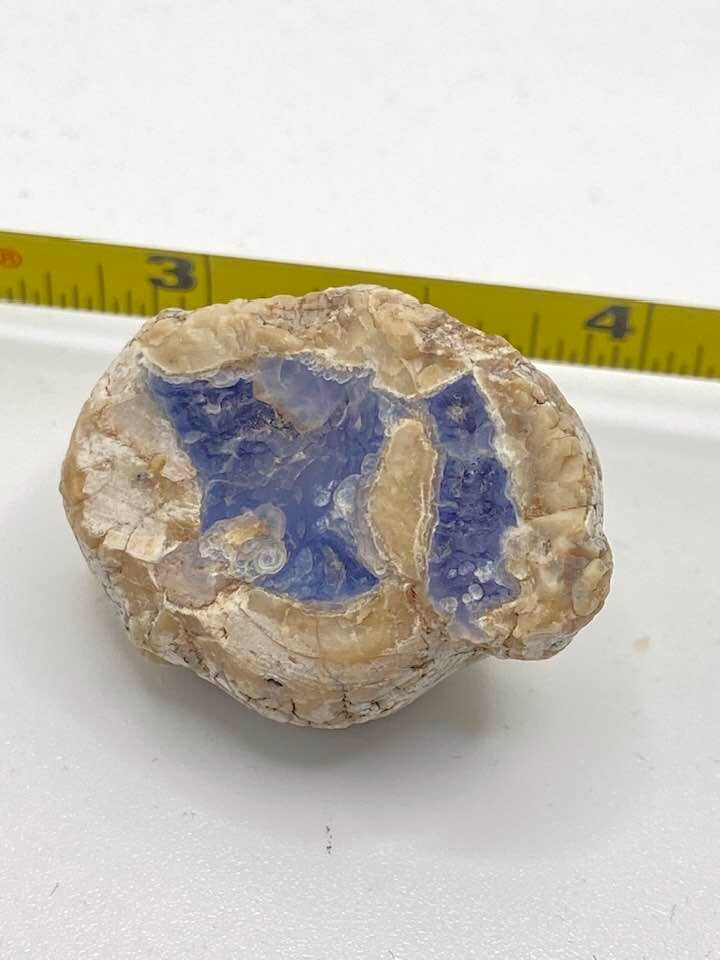 Ellensburg Blue Agate 62.5 carats Very Rare Gem Mineral Specimen Rough Display