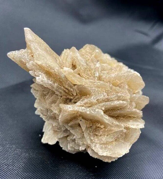 Large Desert "Rose" aka Sand Selenite- St. David, Arizona,Original Tag FANTASTIC