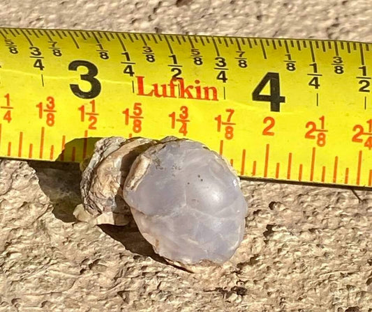 Ellensburg Blue Agate 29.5 carats Very Rare Gem Mineral Specimen Rough Display