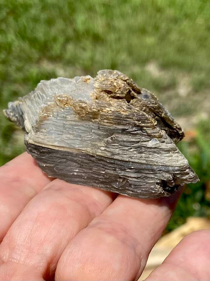 Old Collection Gypsum- St. David, Arizona, Don Belsher with Card
