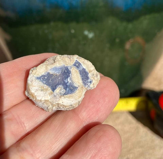 Ellensburg Blue Agate 62.5 carats Very Rare Gem Mineral Specimen Rough Display
